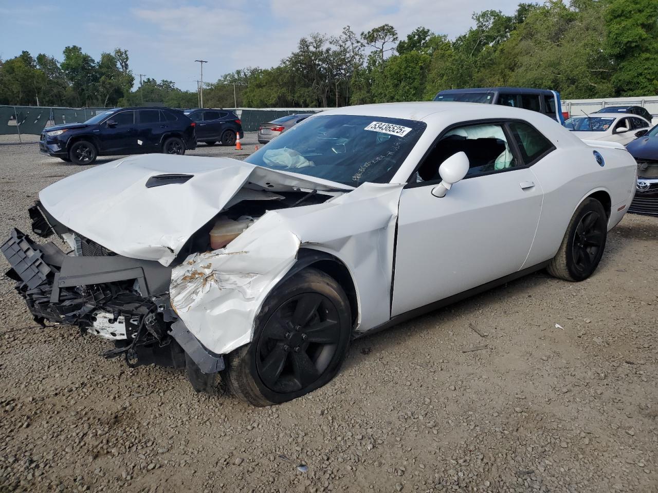 2019 Dodge Challenger Sxt for Sale in Riverview, FL - Front End