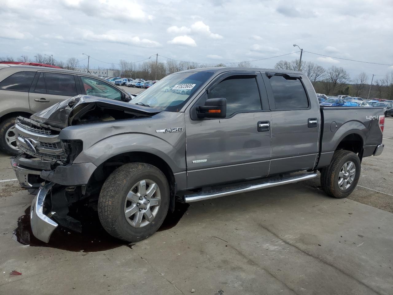 2014 Ford F150 Supercrew en Venta en Louisville, KY - All Over