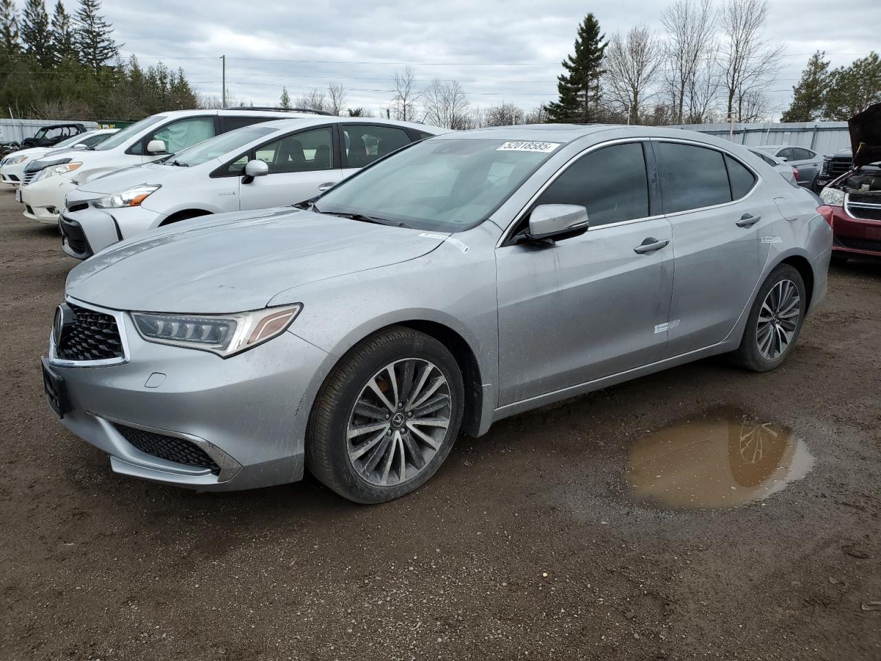 19UUB3F50KA800991 ACURA TLX Photo 1