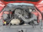 2016 Ford Mustang  for Sale in Riverview, FL - Front End