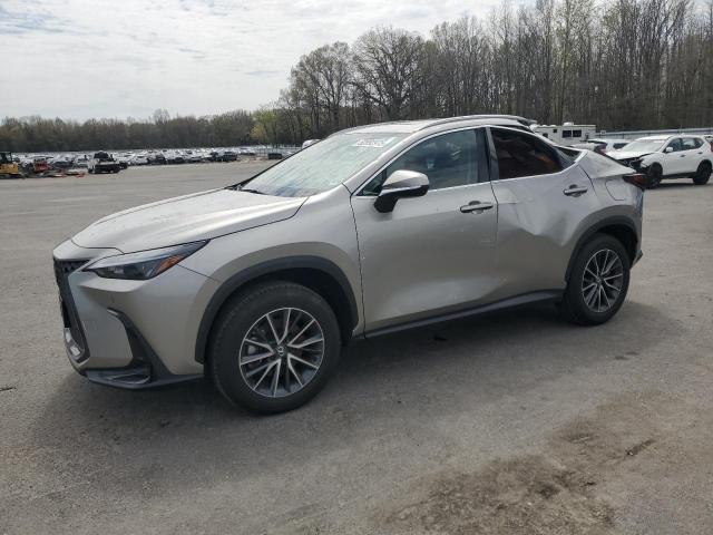 LEXUS NX 350 PRE 2025