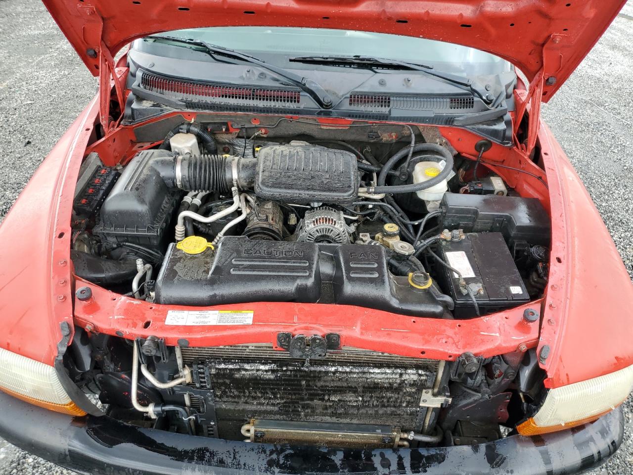 2004 Dodge Dakota Quad Sport VIN: 1D7HL38KX4S685089 Lot: 54729285