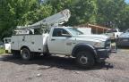 2016 Ram 4500  de vânzare în Gainesville, GA - Minor Dent/Scratches