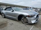 2020 Ford Mustang  for Sale in Louisville, KY - Front End