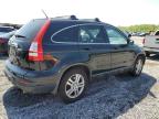 2010 Honda Cr-V Exl продається в Spartanburg, SC - Front End