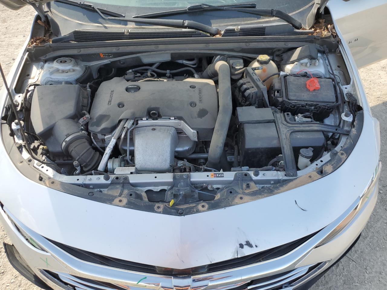 2019 Chevrolet Malibu Premier VIN: 1G1ZE5SX1KF154788 Lot: 52336025
