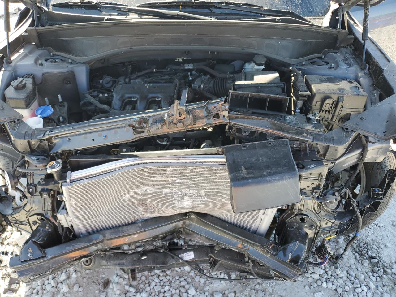 2022 Kia Telluride Ex VIN: 5XYP34HC5NG225236 Lot: 53256765