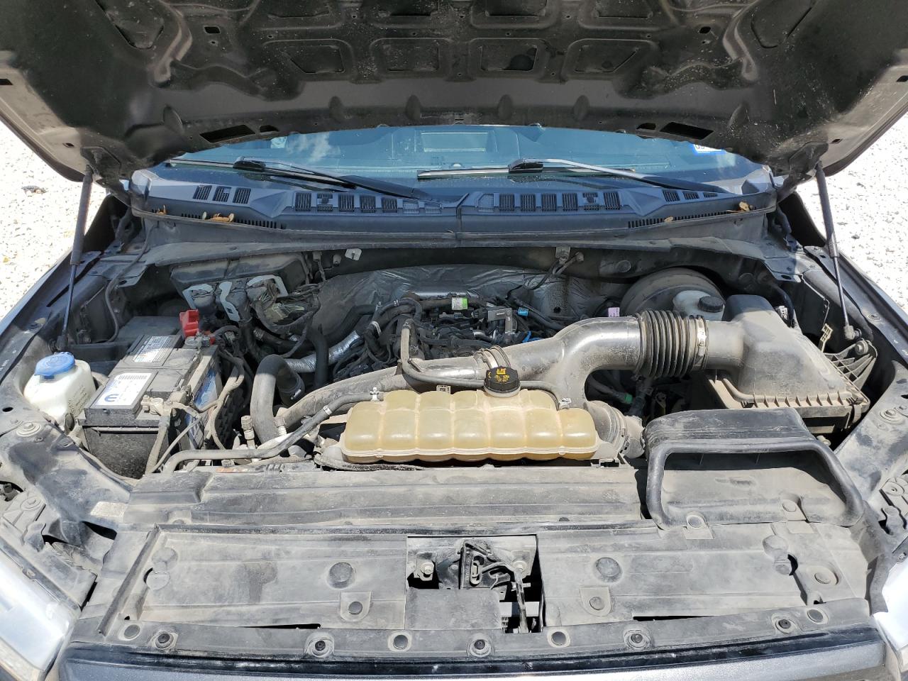 1FTEW1CP3KKD25879 FORD F-150 2019