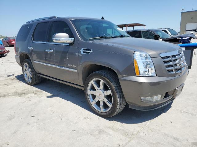  CADILLAC ESCALADE 2012 Brown
