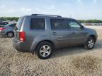 2010 Honda Pilot Exl იყიდება Memphis-ში, TN - Side