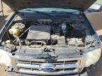 2011 Ford Escape Xlt na sprzedaż w Brighton, CO - Hail