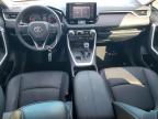 2021 Toyota Rav4 Xle Premium en Venta en Denver, CO - Rear End