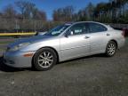 Waldorf, MD에서 판매 중인 2002 Lexus Es 300 - Front End