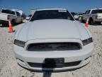 2014 Ford Mustang  for Sale in Taylor, TX - Hail