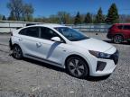 2019 Hyundai Ioniq  for Sale in Albany, NY - Rear End