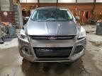 2013 Ford Escape Sel for Sale in Ebensburg, PA - Front End