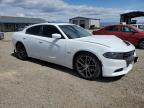 2016 Dodge Charger R/T for Sale in Helena, MT - Front End