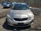 2010 Toyota Corolla Base for Sale in Cookstown, ON - Rear End