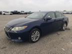 2014 Lexus Es 300H იყიდება Earlington-ში, KY - Hail