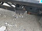 2012 International Terrastar Rollback Truck for Sale in Madisonville, TN - Minor Dent/Scratches