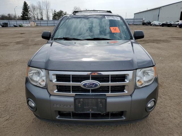 2011 FORD ESCAPE XLT