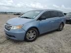2011 Honda Odyssey Exl იყიდება Houston-ში, TX - Front End