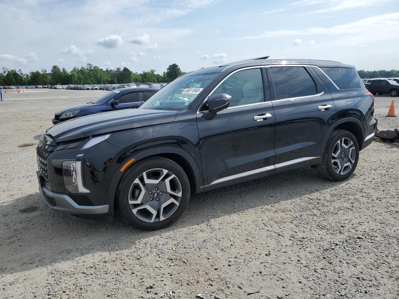2024 Hyundai Palisade Limited იყიდება Lumberton-ში, NC - Front End