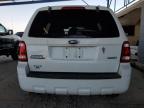 2008 Ford Escape Xlt zu verkaufen in Phoenix, AZ - Minor Dent/Scratches