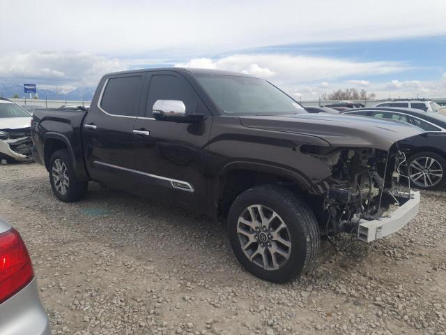  TOYOTA TUNDRA 2023 Коричневий