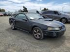 American Canyon, CA에서 판매 중인 2001 Ford Mustang Gt - All Over