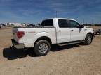2014 Ford F150 Supercrew for Sale in Amarillo, TX - Front End