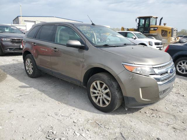  FORD EDGE 2013 Цвет загара
