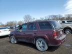 2007 Chevrolet Trailblazer Ls للبيع في Des Moines، IA - Front End