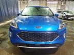 2021 Ford Escape Sel for Sale in Woodhaven, MI - Side