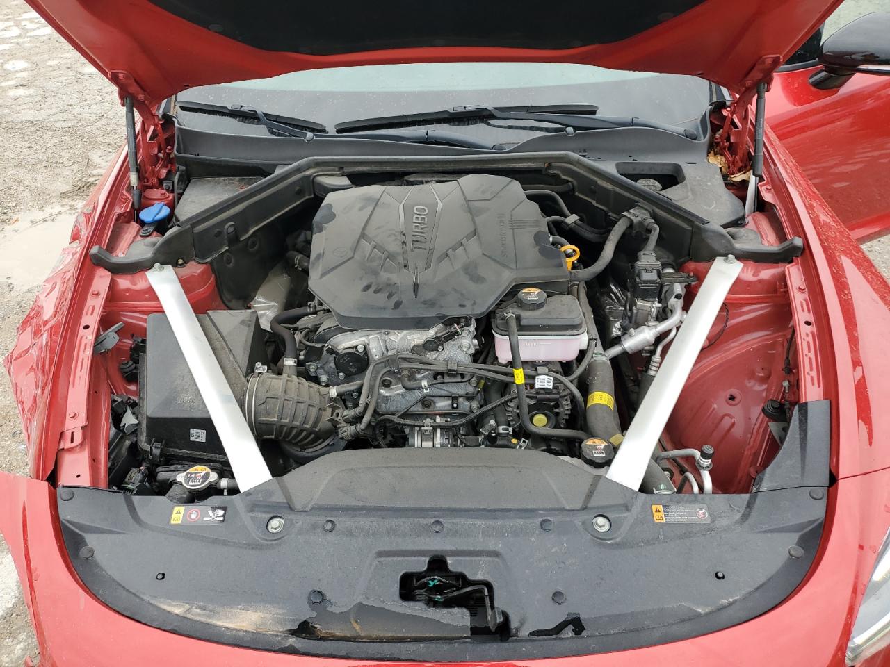 2023 Kia Stinger Gt Line VIN: KNAE35LD1P6131189 Lot: 54925015