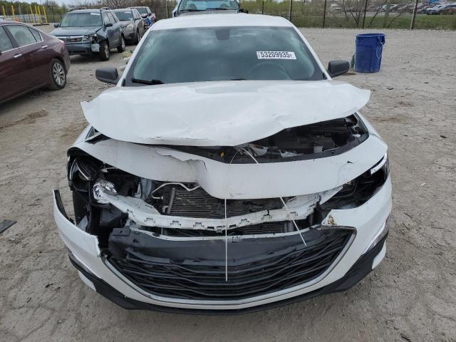  CHEVROLET MALIBU 2019 White