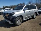 2008 LEXUS LX 570 à vendre chez Copart ON - COOKSTOWN