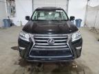 2016 Lexus Gx 460 Premium for Sale in Lexington, KY - Rear End