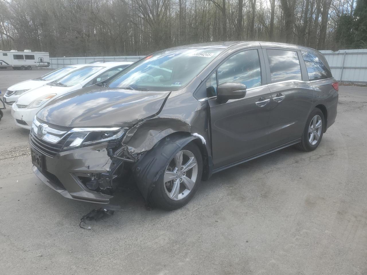 5FNRL6H73KB137053 HONDA All Models 2019