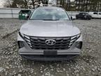 Windsor, NJ에서 판매 중인 2024 Hyundai Tucson Blue - Front End