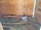 2017 Forest River Enclosed Cargo Trailer იყიდება Martinez-ში, CA - Side