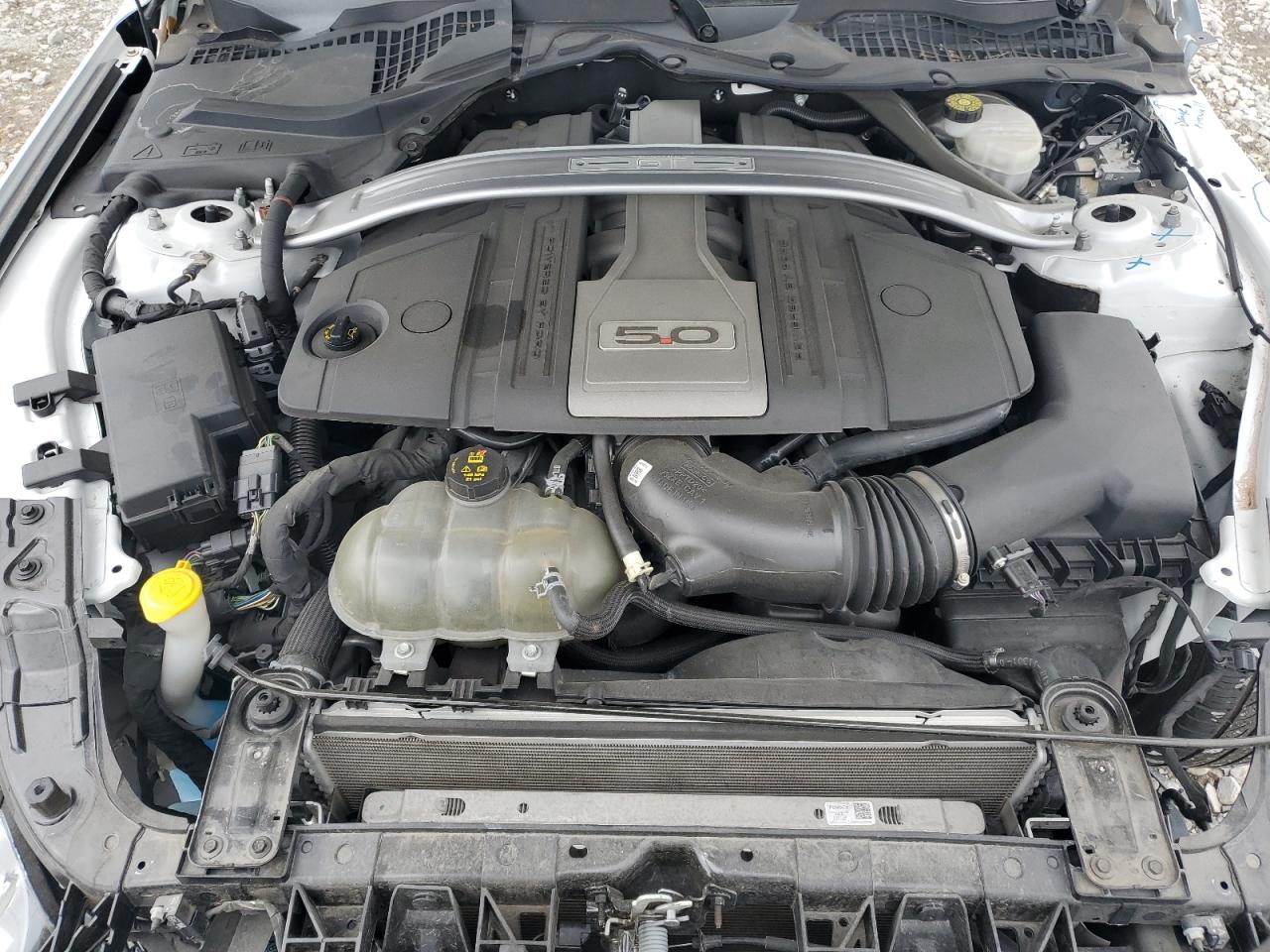 1FATP8FF9K5150235 FORD MUSTANG 2019