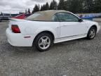 2000 Ford Mustang  for Sale in Graham, WA - Vandalism