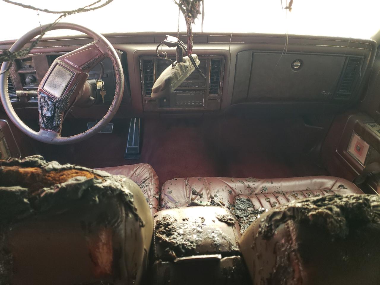 1992 Cadillac Brougham VIN: 1G6DW54E8NR712443 Lot: 51482635