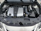 2024 Lexus Es 350 Base იყიდება Bridgeton-ში, MO - Water/Flood