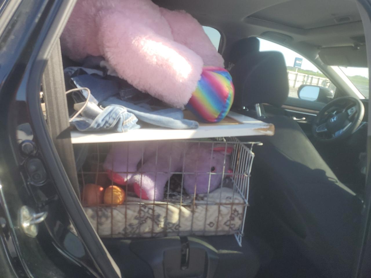 2019 Honda Cr-V Ex VIN: XJ6RW1H52KA017515 Lot: 51635575