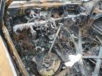 2024 Hyundai Santa Cruz Sel na sprzedaż w Oklahoma City, OK - Burn
