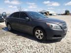 2013 Chevrolet Malibu Ls за продажба в Cicero, IN - Front End