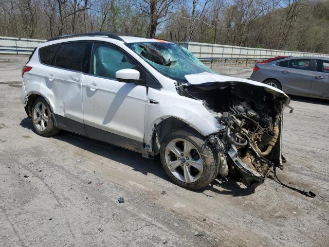  FORD ESCAPE 2014 White