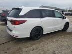 2023 Honda Odyssey Sport-L на продаже в Louisville, KY - Hail